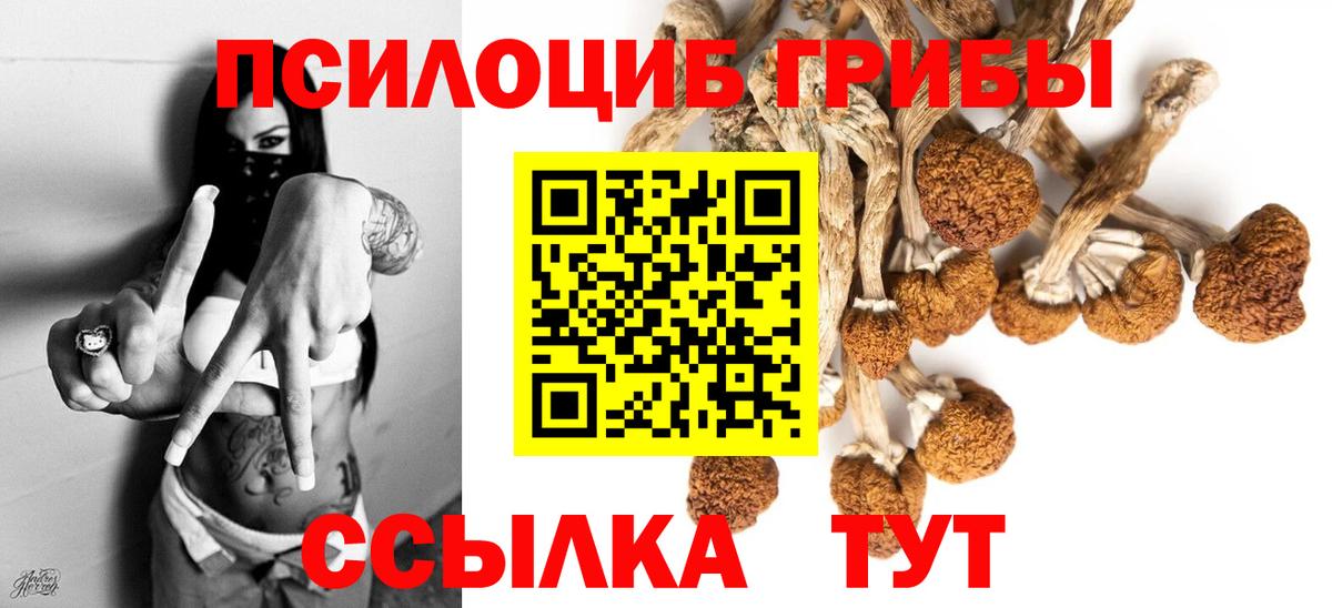 Галлюциногенные грибы прущие грибы Нижний Новгород