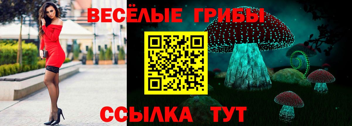 Галлюциногенные грибы прущие грибы  где найти наркотики  Нижний Новгород  Вход с VPN  Галлюциногенные грибы Psilocybe 